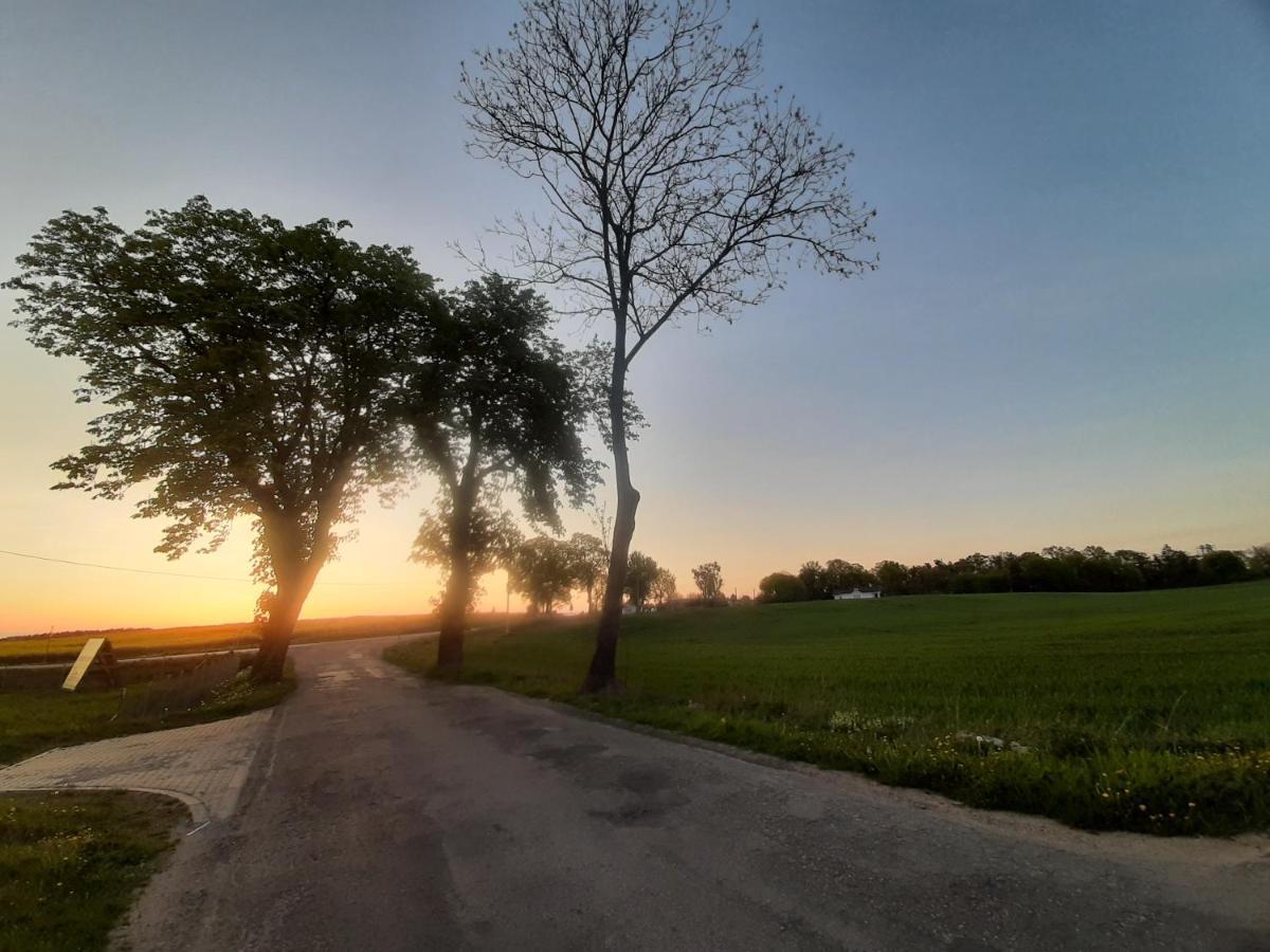 Noclegi Zdzislaw Sieradzki Zbiczno Exterior foto