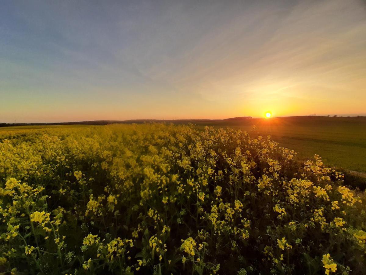 Noclegi Zdzislaw Sieradzki Zbiczno Exterior foto